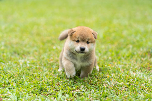 istockphoto 1389590584 612x612 1