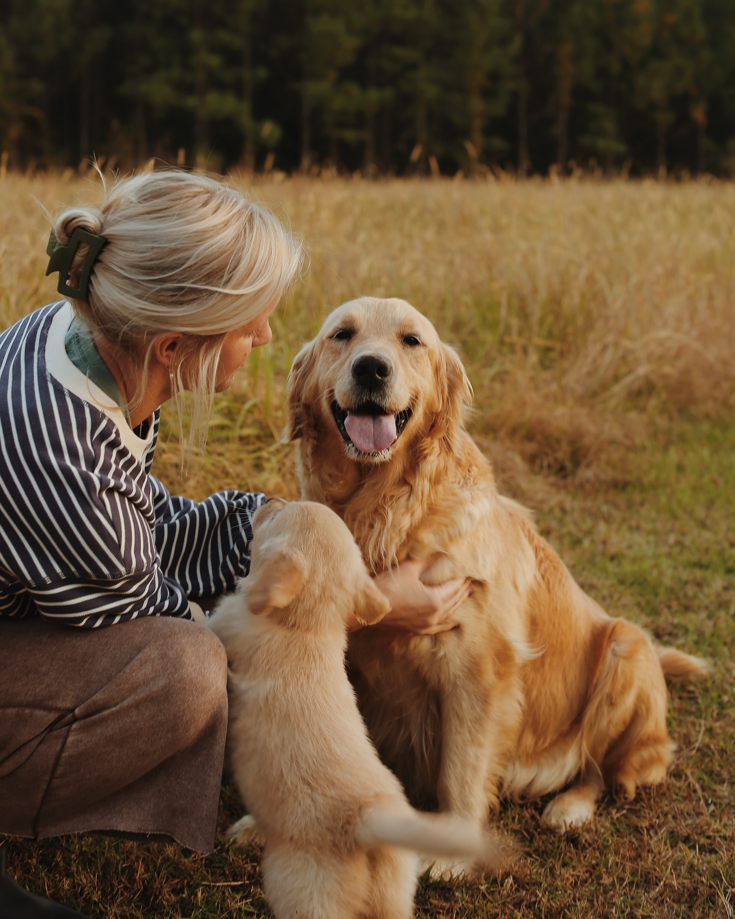 hero retriever
